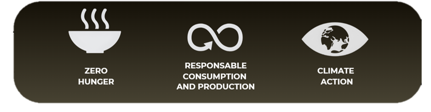 UN SDG Icons