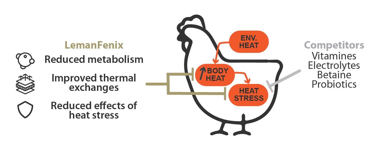 LemanFenix solution compared to competitors